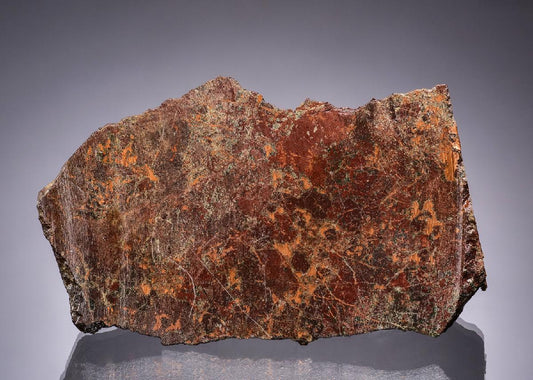 CC49168 specimen image