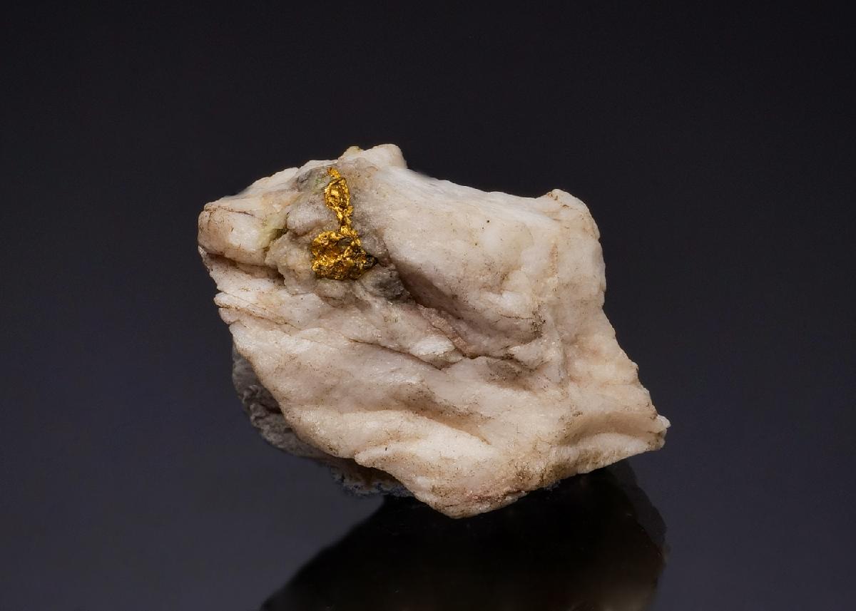 CC49248 specimen image