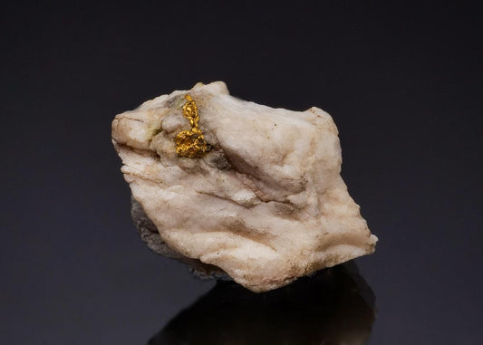 CC49248 specimen image