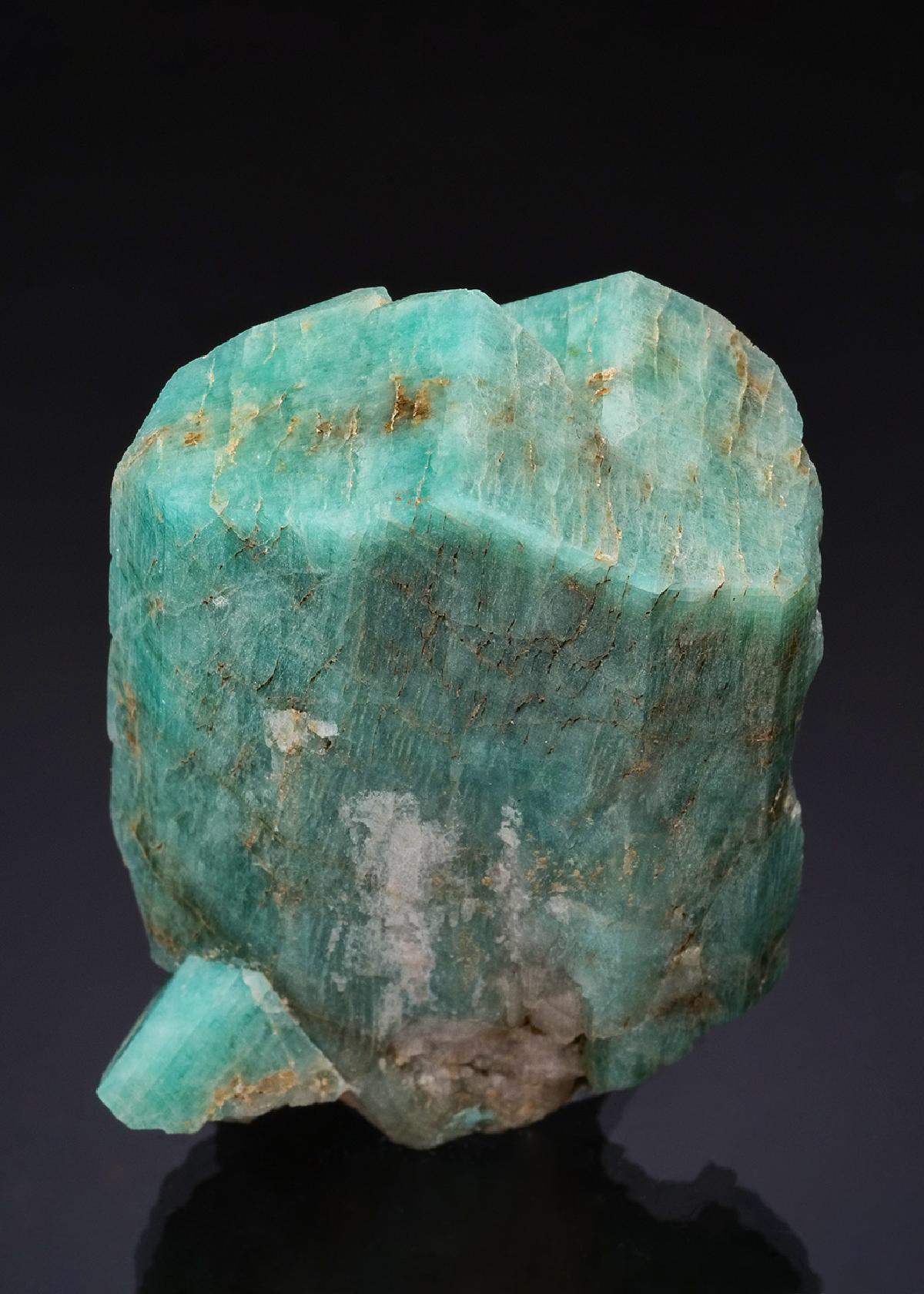 CC49272 specimen image