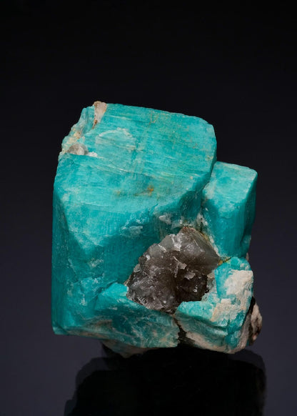 CC49278 specimen image