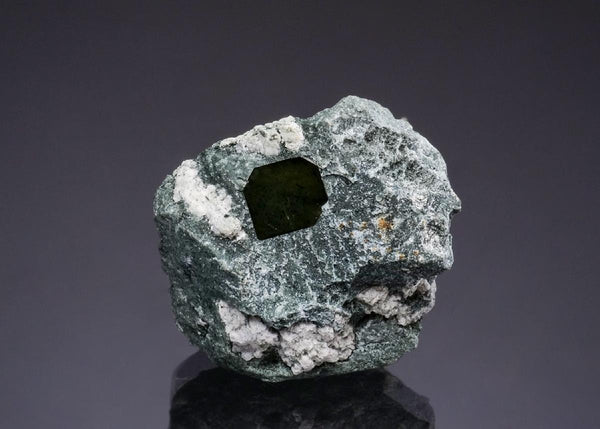 CC49290 specimen image