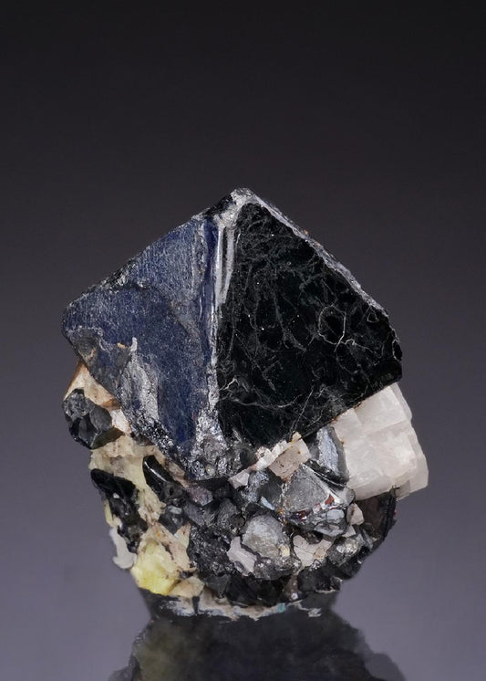 CC49296 specimen image