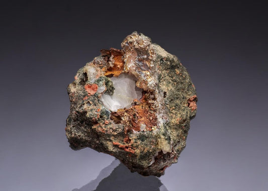 CC49320 specimen image