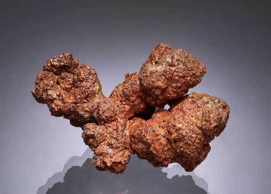 CC49324 specimen image