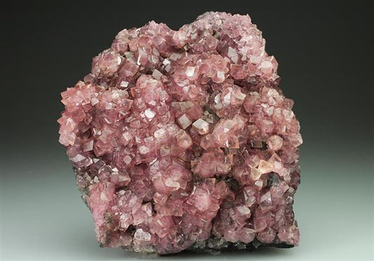 CC4933 specimen image