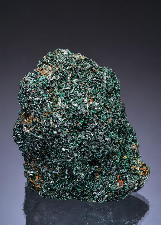 CC49338 specimen image