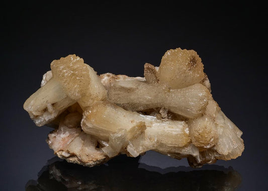 CC49348 specimen image