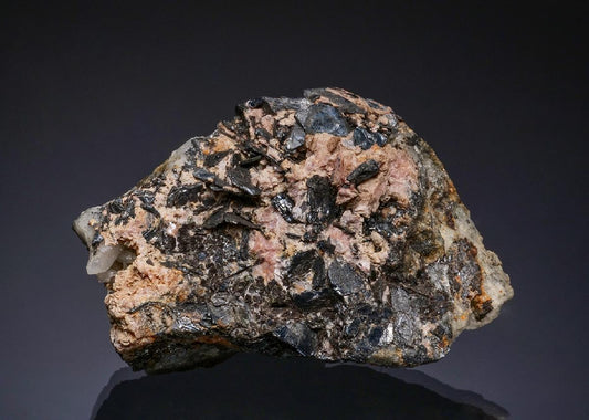 CC49354 specimen image