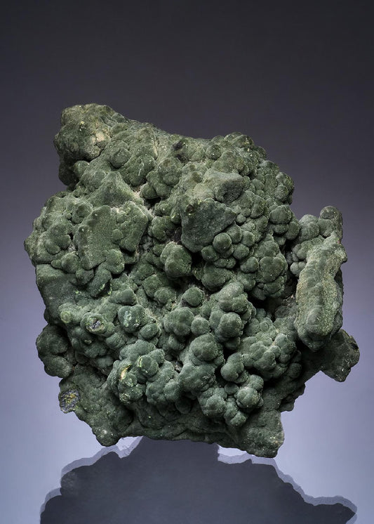 CC49362 specimen image