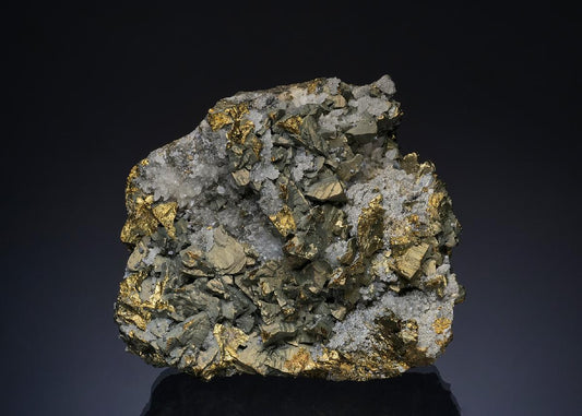 CC49368 specimen image
