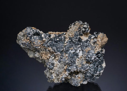 CC49370 specimen image
