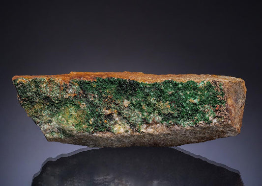 CC49374 specimen image