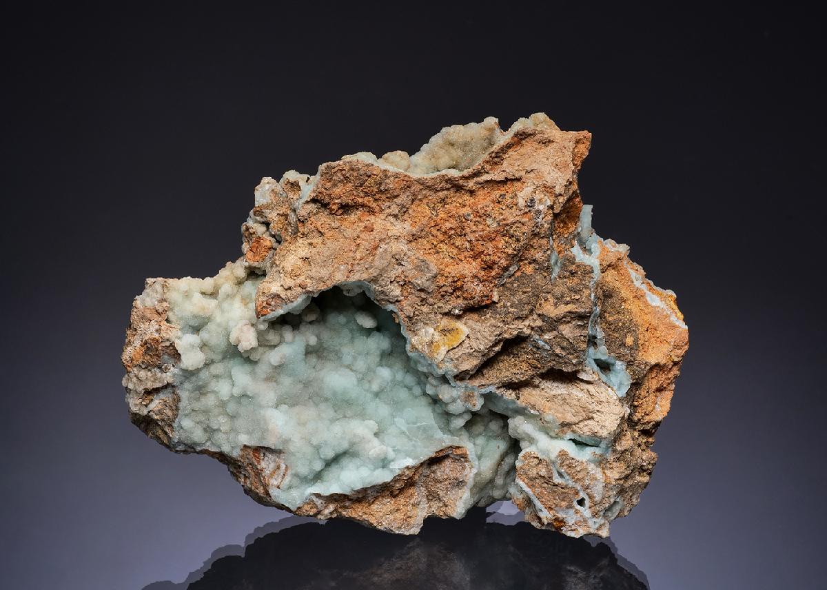 CC49376 specimen image