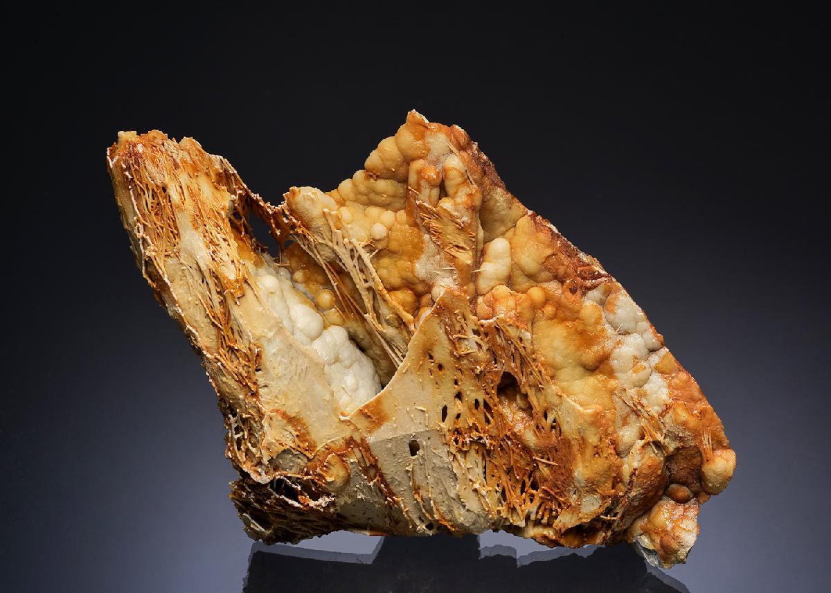 CC49382 specimen image