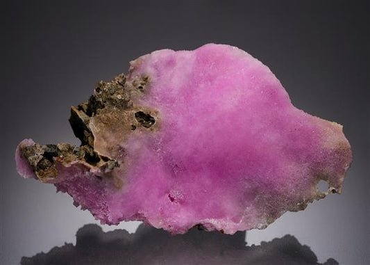 CC4939 specimen image