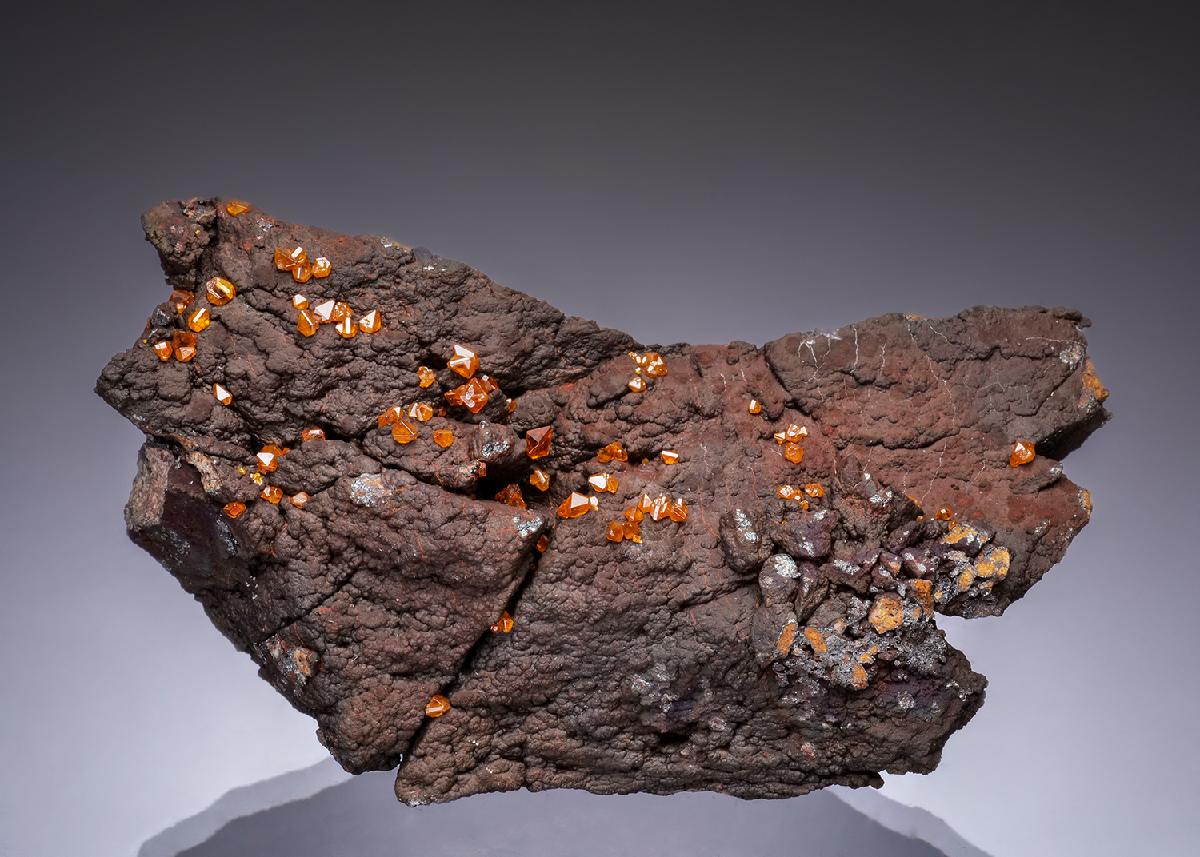 CC49394 specimen image