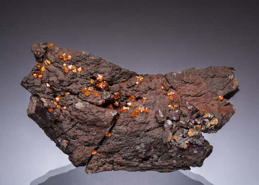 CC49394 specimen image