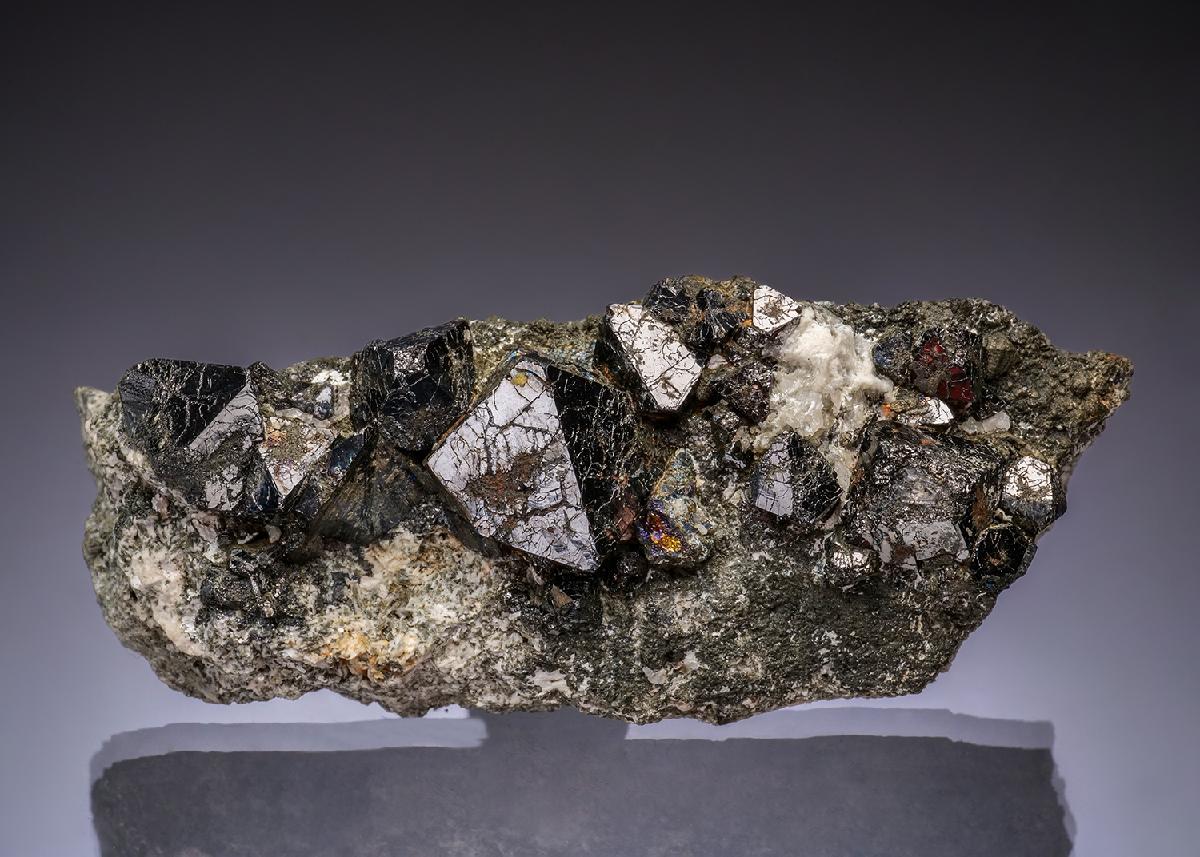 CC49398 specimen image