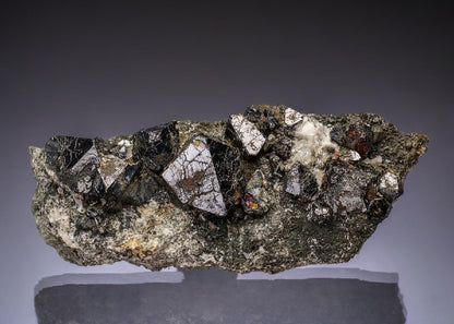 CC49398 specimen image