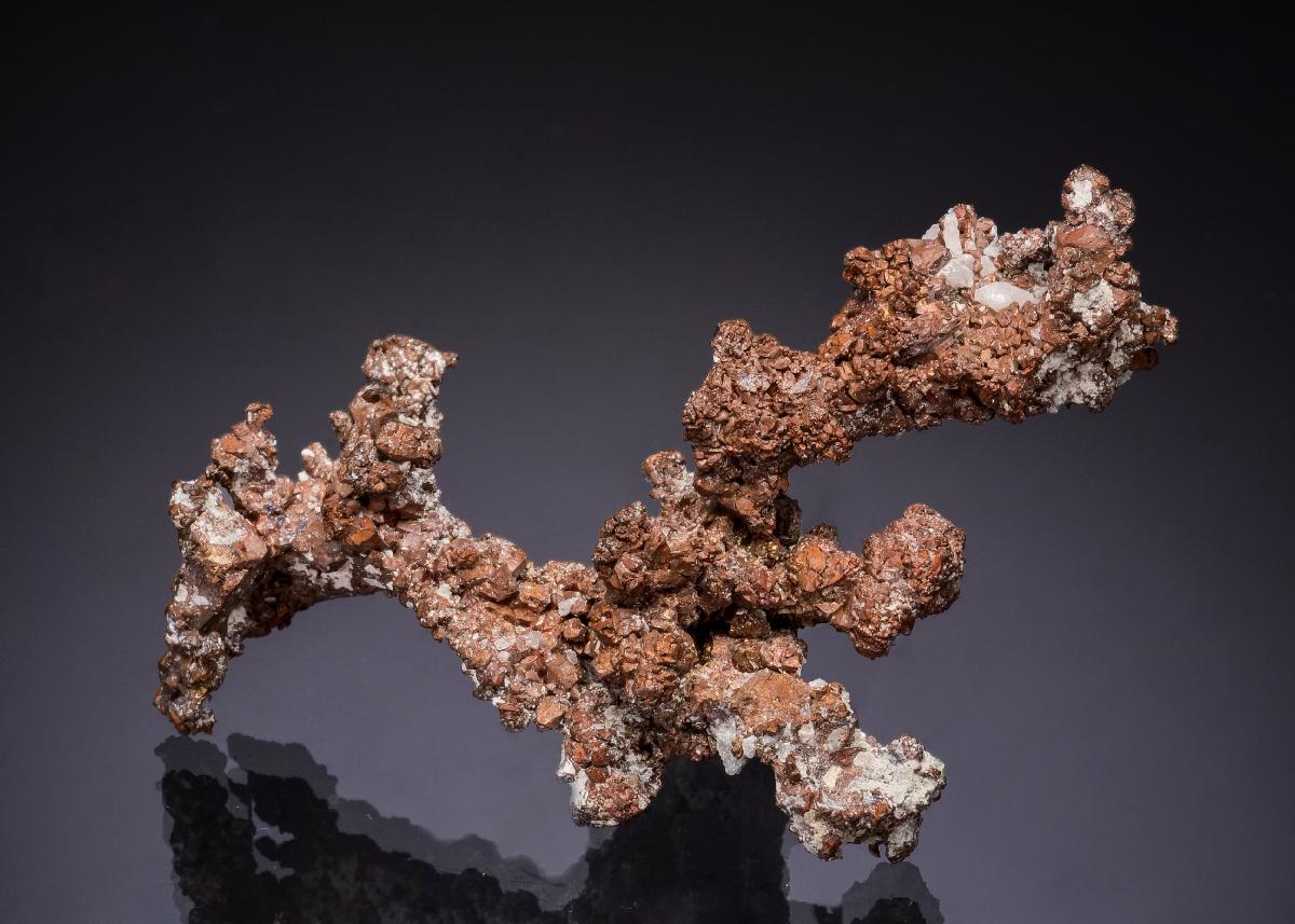 CC49416 specimen image
