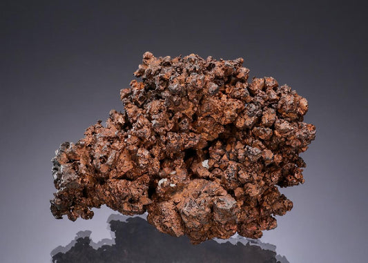 CC49418 specimen image