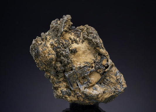 CC49426 specimen image