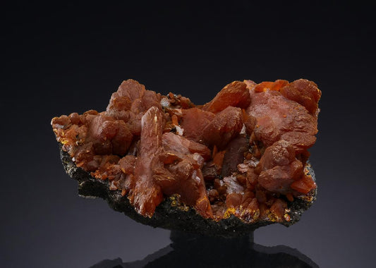 CC49428 specimen image