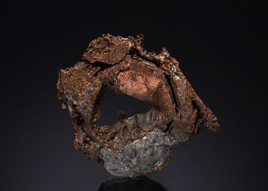 CC49440 specimen image