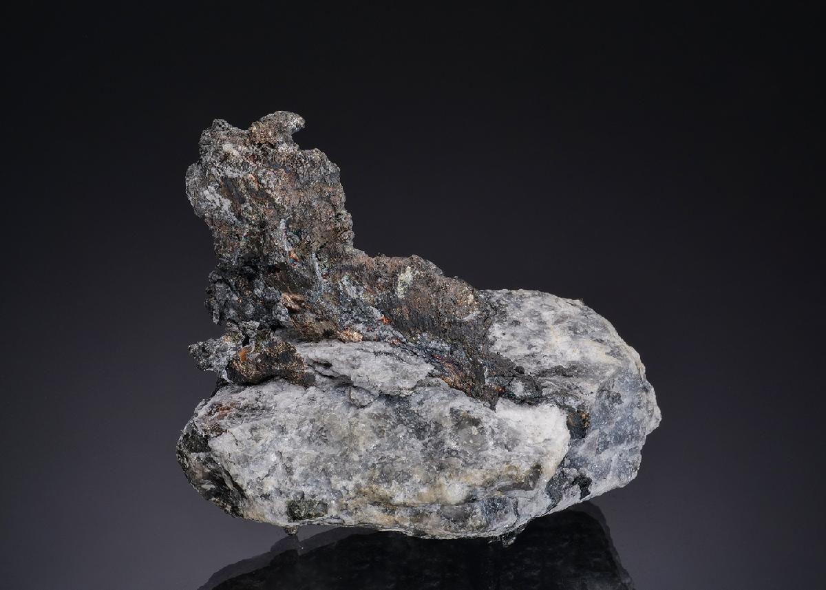 CC49468 specimen image