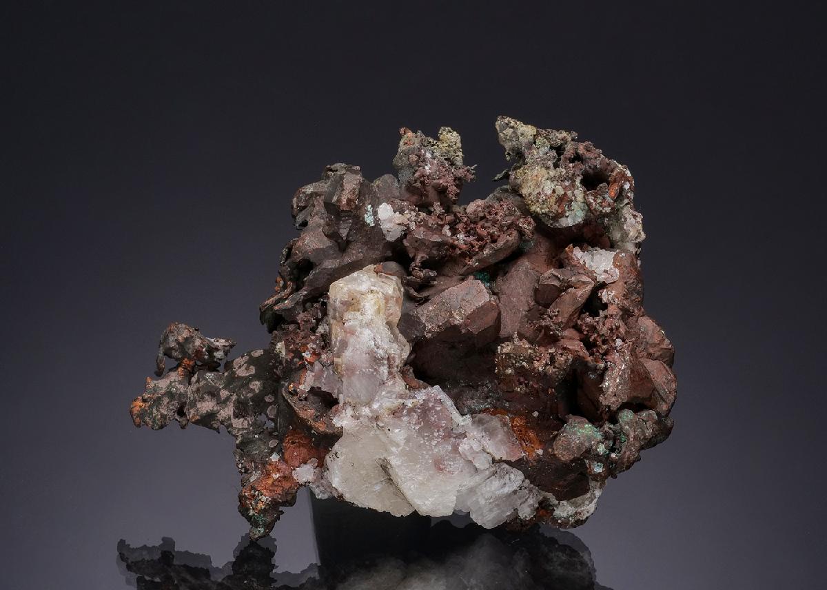 CC49476 specimen image