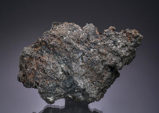 CC49502 specimen image