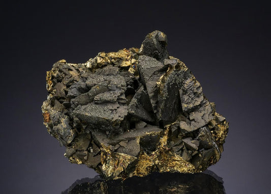 CC49506 specimen image