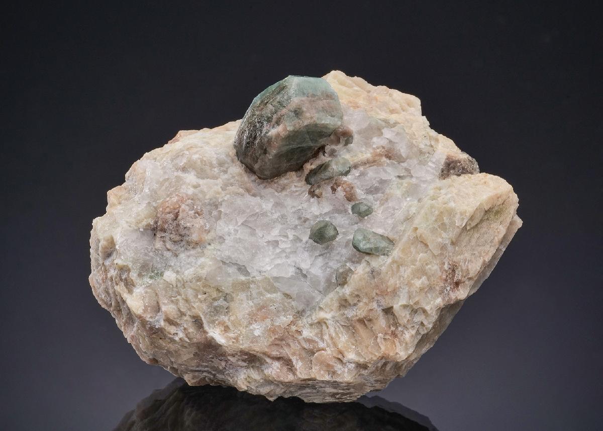 CC49518 specimen image