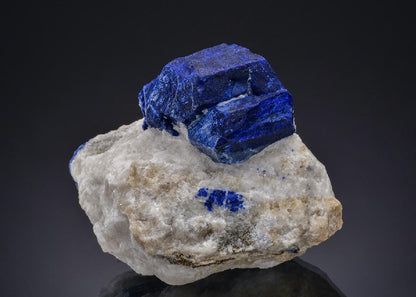 CC49522 specimen image