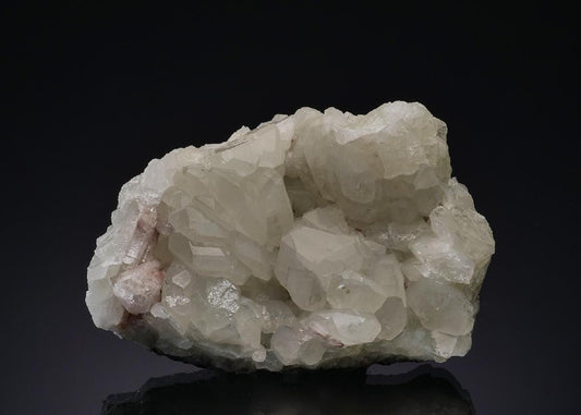 CC49532 specimen image