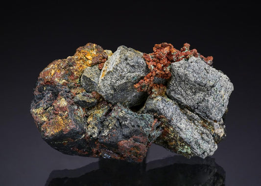 CC49576 specimen image