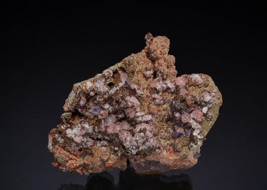 CC49580 specimen image