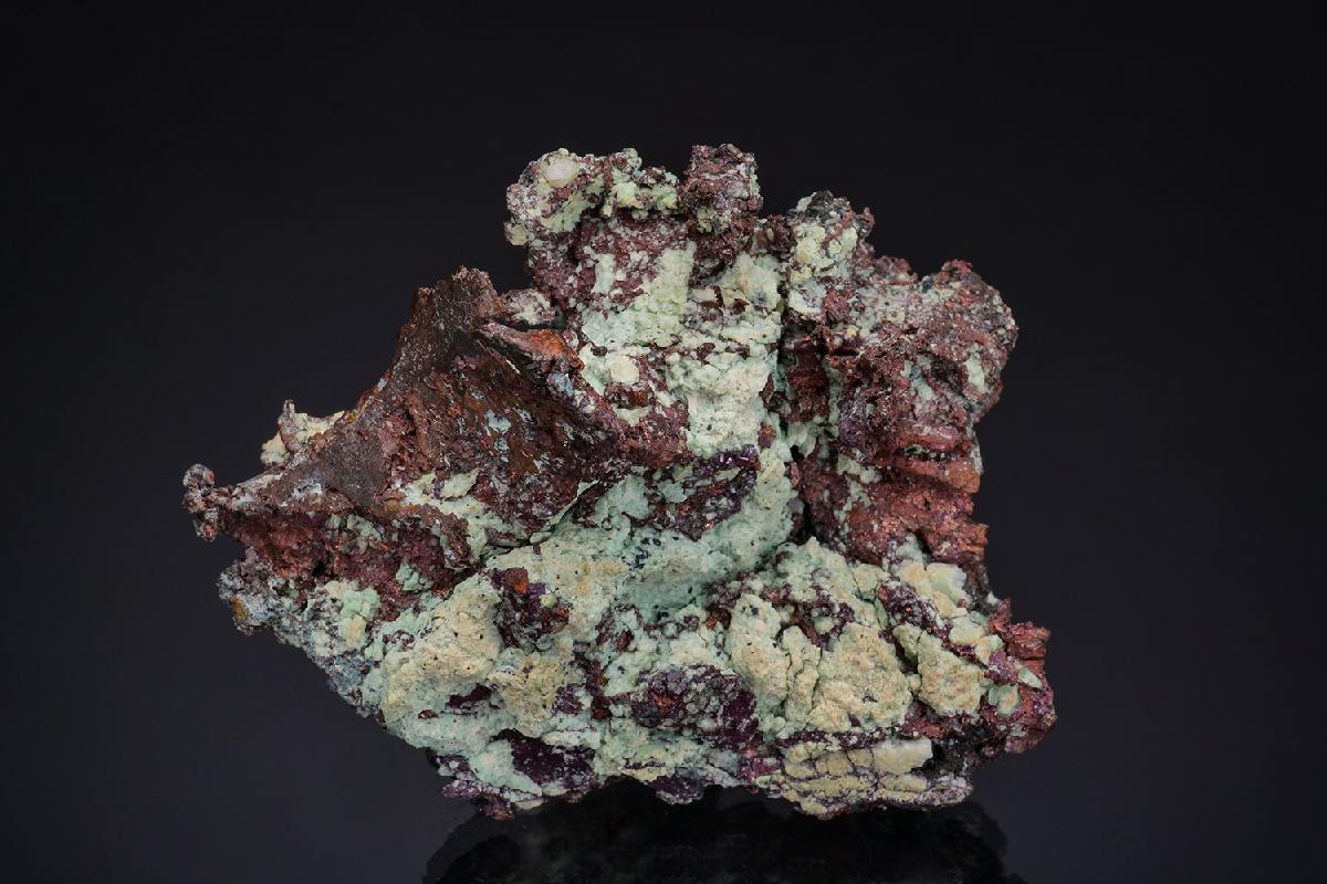 CC49596 specimen image