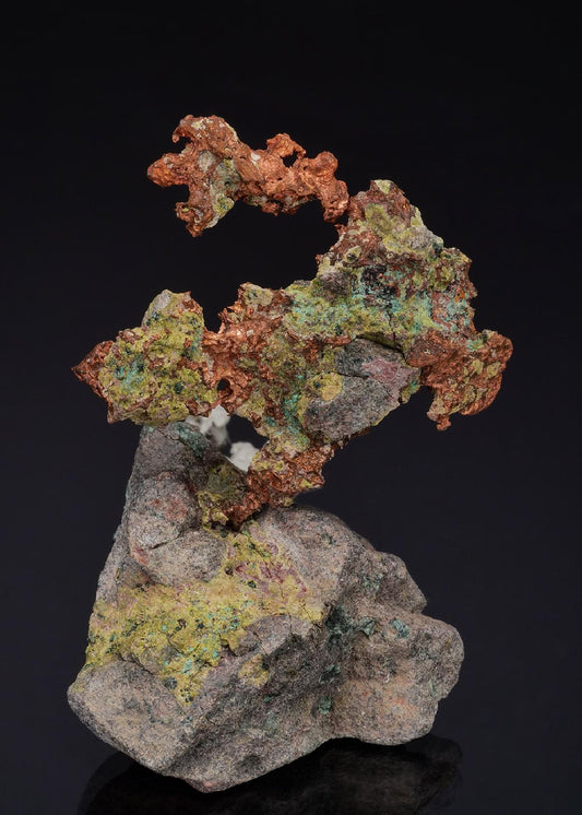 CC49602 specimen image