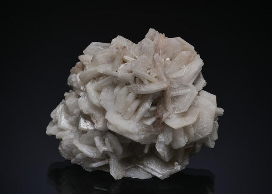 CC49604 specimen image