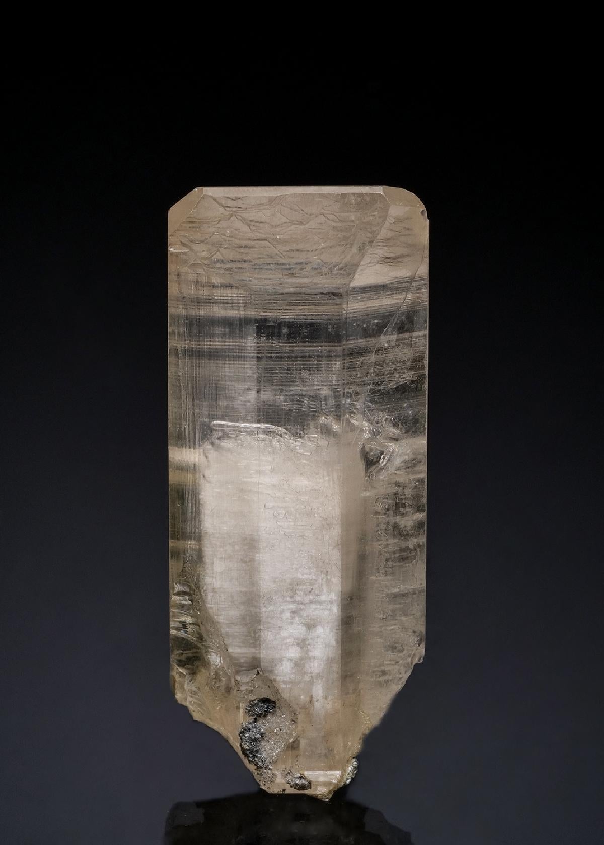 CC49634 specimen image