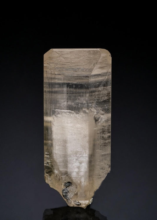 CC49634 specimen image