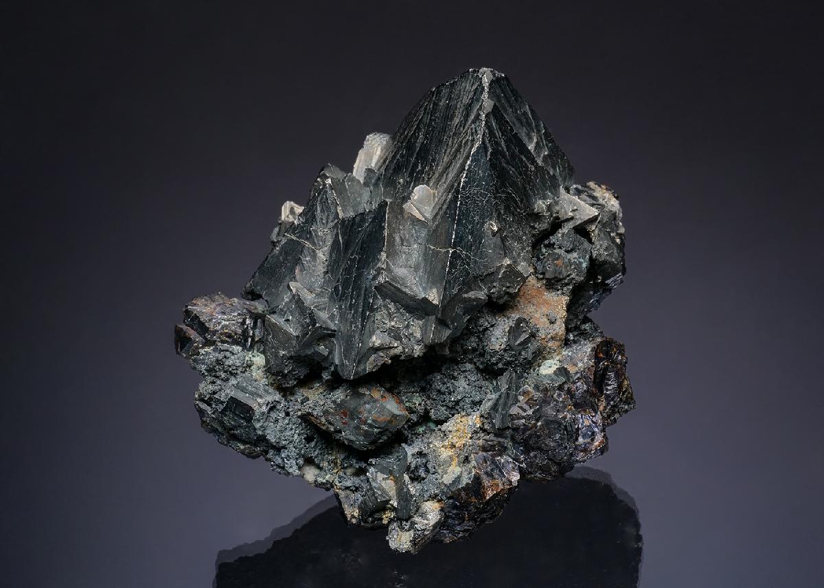 CC49644 specimen image