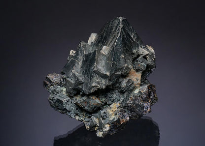CC49644 specimen image