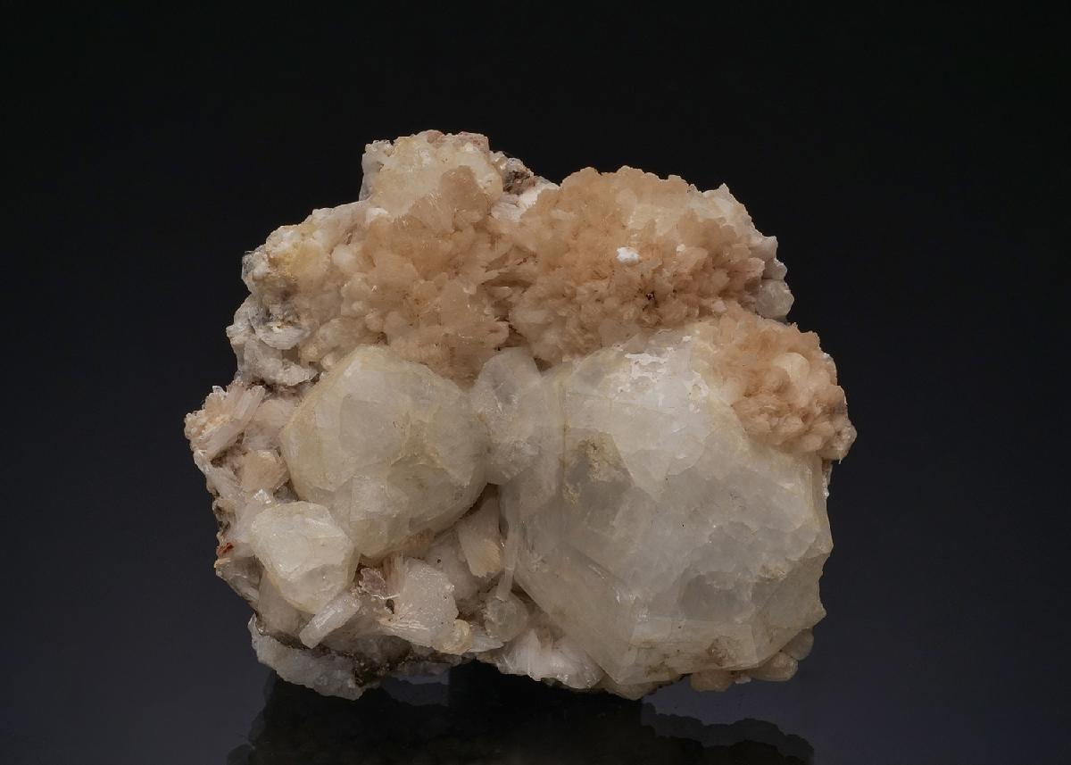 CC49666 specimen image