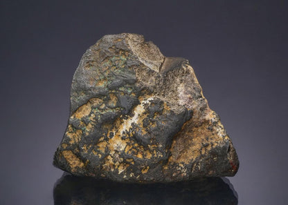 CC49682 specimen image