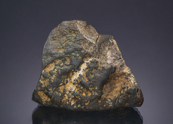 CC49682 specimen image