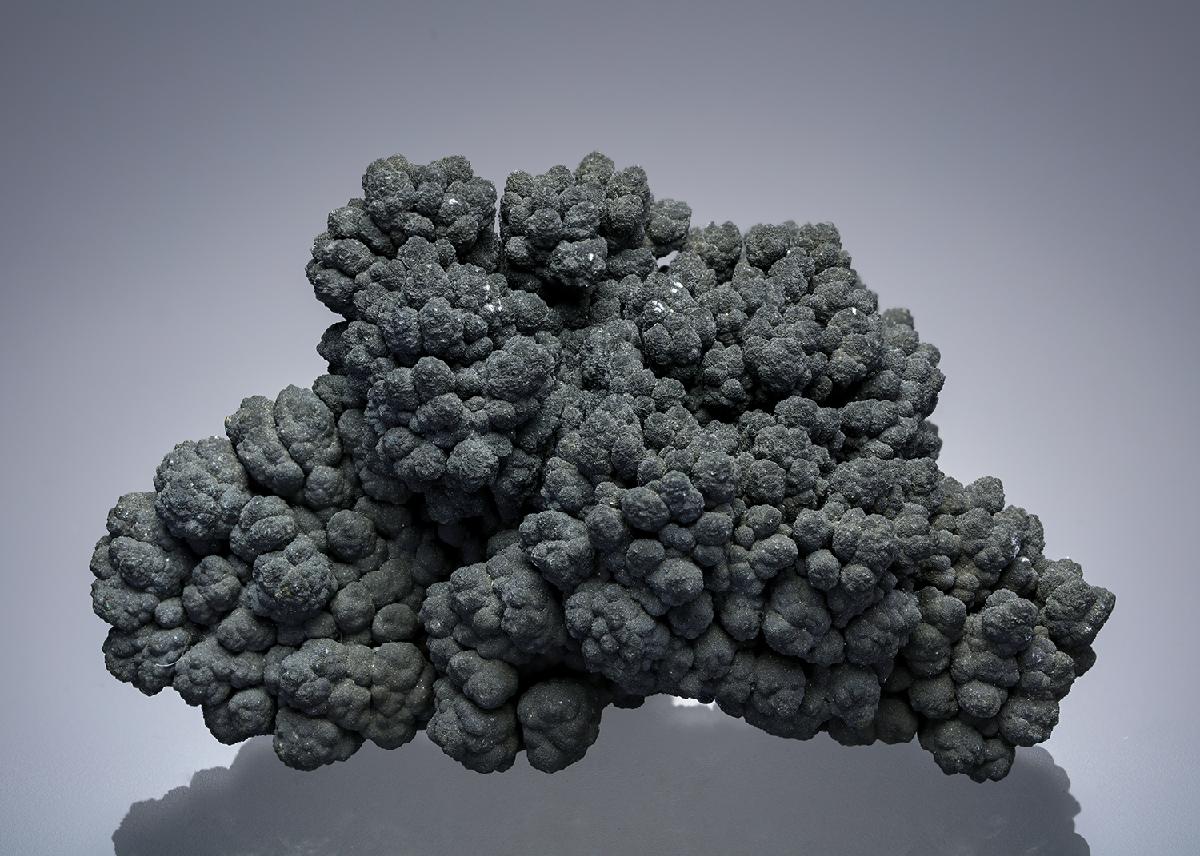 CC4971 specimen image