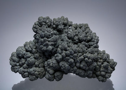 CC4971 specimen image